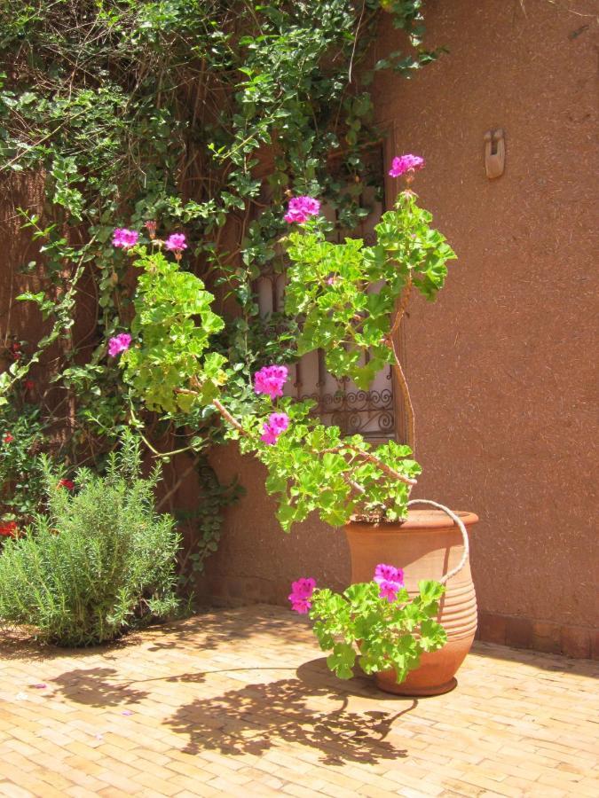 Dar Tasmayoun Ait Ourir Bagian luar foto