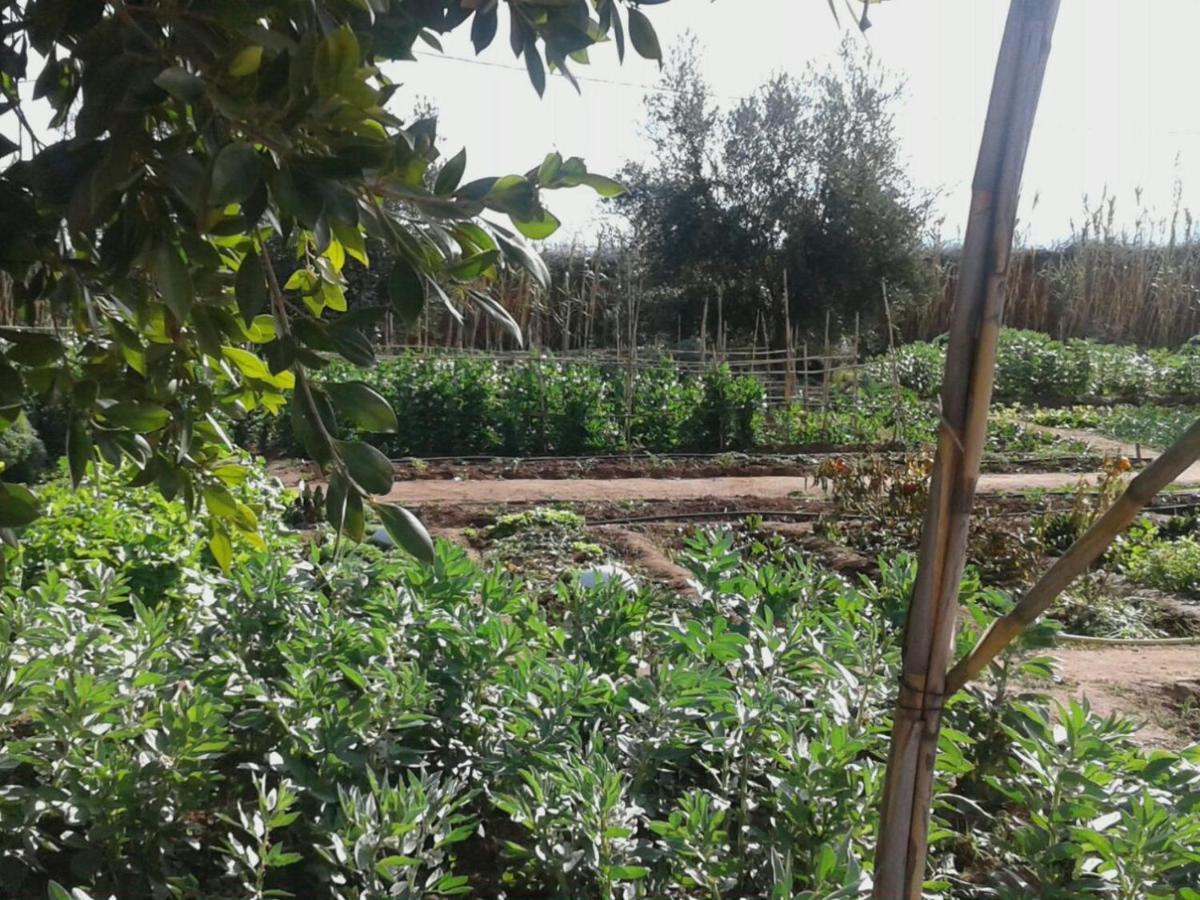 Dar Tasmayoun Ait Ourir Bagian luar foto